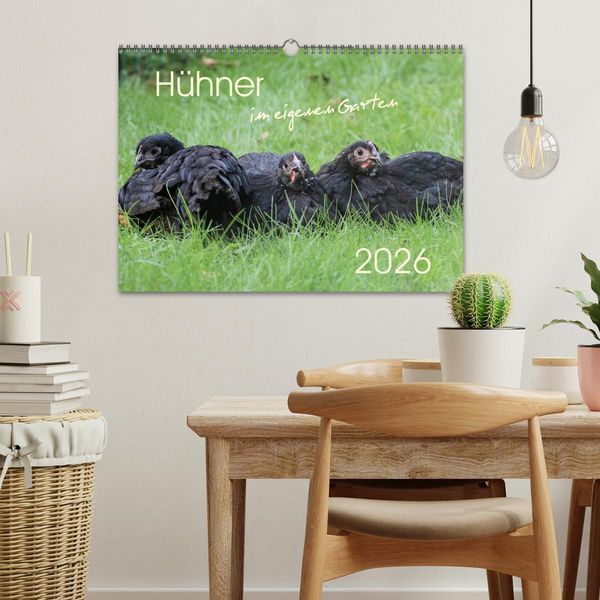 Produktbild: H&uuml;hner im eigenen Garten (Wandkalender 2026 DIN A3 quer), CALVENDO Monatskalender
