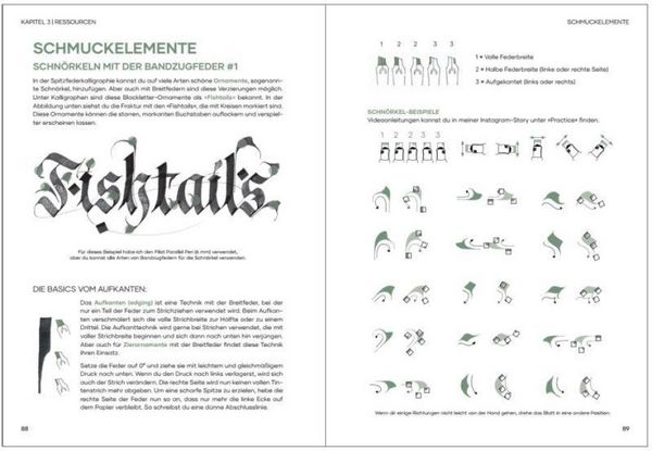 Produktbild: Praxisbuch Kalligraphie Alphabete