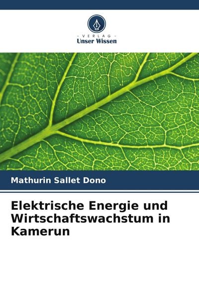 Produktbild: Elektrische Energie und Wirtschaftswachstum in Kamerun