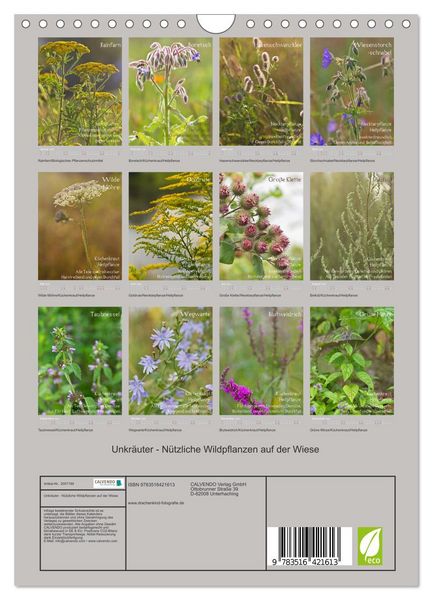 Produktbild: Unkr&auml;uter - N&uuml;tzliche Wildpflanzen auf der Wiese (Wandkalender 2026 DIN A4 hoch), CALVENDO Monatskalender