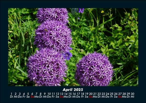 Produktbild: Blumenzauber 2025 Fotokalender DIN A5