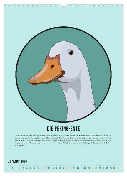 Produktbild: NUTZtiere, Ein Kalender f&uuml;r Erwachsene und aufgekl&auml;rte Kinder (Wandkalender 2026 DIN A2 hoch), CALVENDO Monatskalender