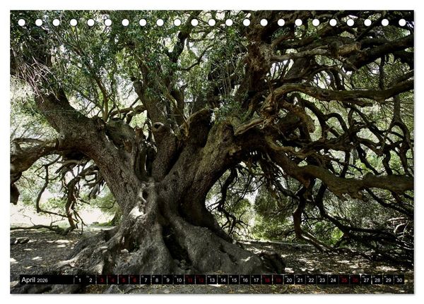 Produktbild: Sardinien - Der Norden (Tischkalender 2026 DIN A5 quer), CALVENDO Monatskalender