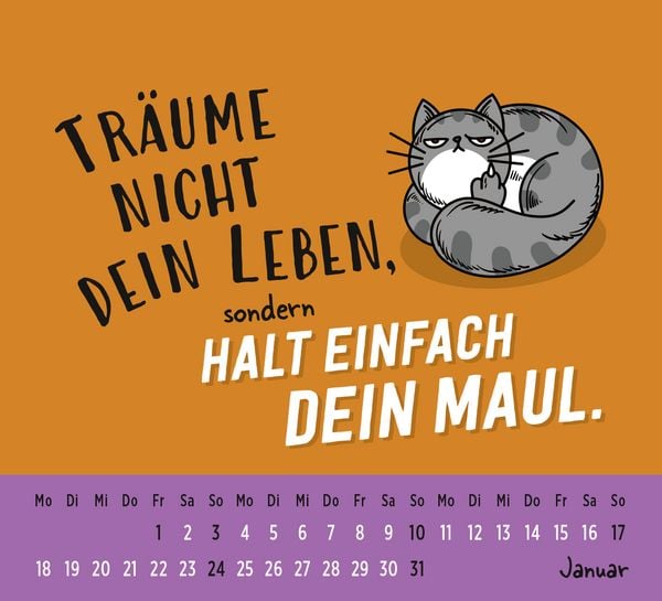 Produktbild: Mini-Kalender 2027: Neues Jahr neues &hellip; ach halt die Klappe!