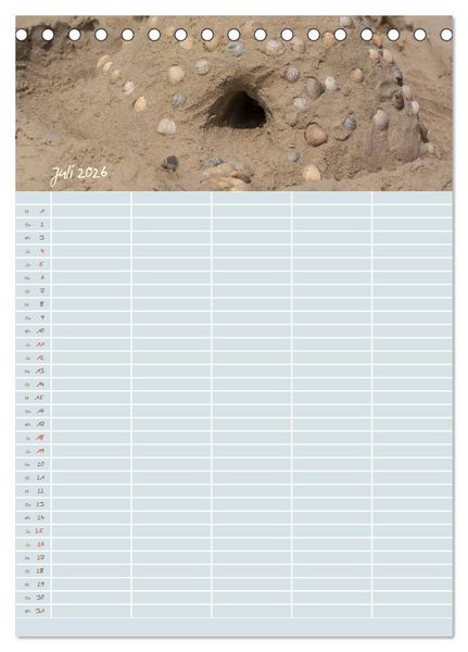 Produktbild: Kleine Sand-Sch&ouml;nheiten / Familienplaner (Tischkalender 2026 DIN A5 hoch), CALVENDO Monatskalender