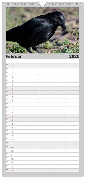 Produktbild: Familienplaner 2026 - Rabenschwarze Impressionen - meike-ajo-dettlaff.de via wildvogelhlfe.org mit 5 Spalten (Wandkalender, 21 x 45 cm) CALVENDO
