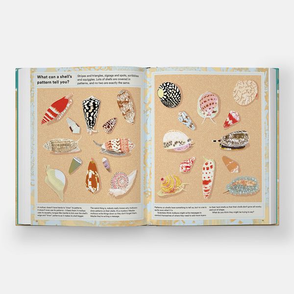 Produktbild: What A Shell Can Tell