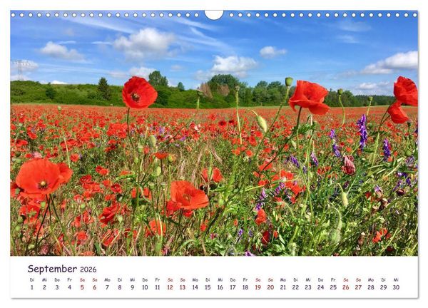 Produktbild: Natur und Landschaft Mecklenburg - Vorpommern 2026 (Wandkalender 2026 DIN A3 quer), CALVENDO Monatskalender