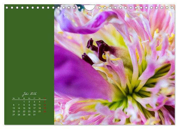Produktbild: Bl&uuml;tenstil (Wandkalender 2026 DIN A4 quer), CALVENDO Monatskalender