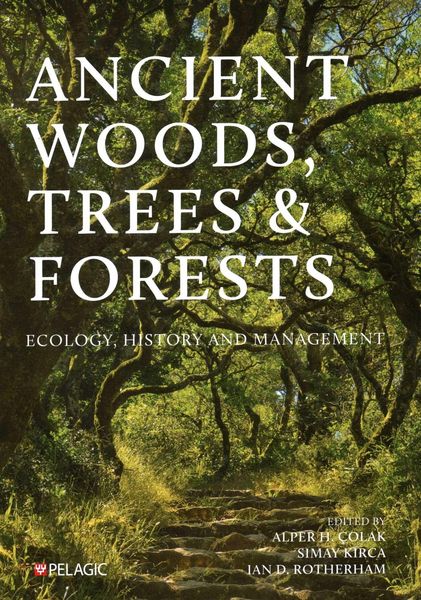 Produktbild: Ancient Woods, Trees and Forests
