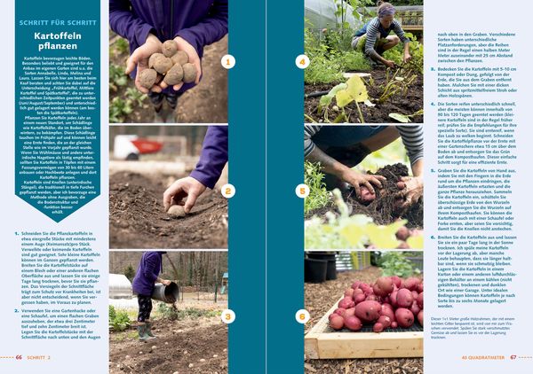 Produktbild: In sieben Schritten zum Selbstversorger