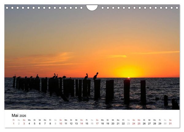 Produktbild: Unter der Sonne Floridas (Wandkalender 2026 DIN A4 quer), CALVENDO Monatskalender