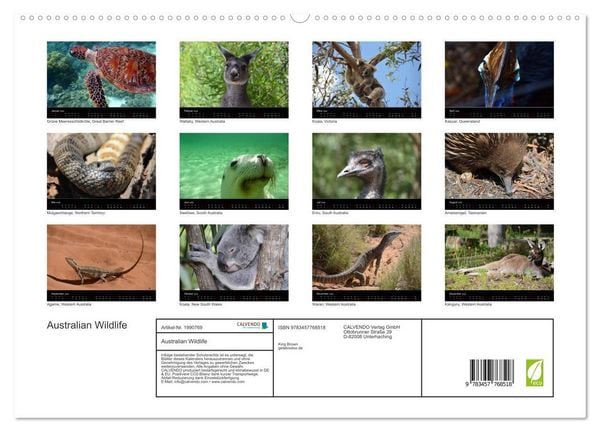 Produktbild: Australian Wildlife (hochwertiger Premium Wandkalender 2026 DIN A2 quer), Kunstdruck in Hochglanz