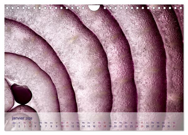 Produktbild: C&oelig;ur de fruits c&oelig;ur de l&eacute;gumes (Calendrier mural 2026 DIN A4 vertical), CALVENDO calendrier mensuel