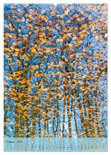 Produktbild: Wo der Wald tr&auml;umt (hochwertiger Premium Wandkalender 2027 DIN A2 hoch), Kunstdruck in Hochglanz