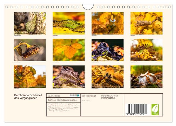 Produktbild: Ber&uuml;hrende Sch&ouml;nheit des Verg&auml;nglichen (Wandkalender 2026 DIN A4 quer), CALVENDO Monatskalender