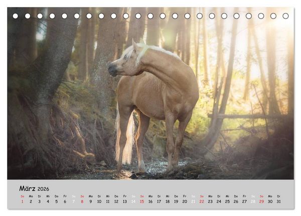 Produktbild: Pferde - Anmut und St&auml;rke gepaart mit Magie (Tischkalender 2026 DIN A5 quer), CALVENDO Monatskalender