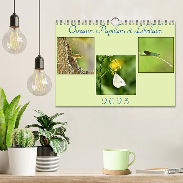 Produktbild: Oiseaux, Papillons et Libellules (Calendrier mural 2026 DIN A4 vertical), CALVENDO calendrier mensuel