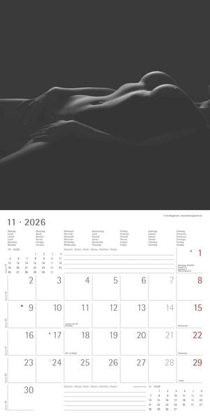 Produktbild: Feminine 2026 - Broschürenkalender 30x30 cm (30x60 geöffnet) - Kalender mit Platz für Notizen - Feminin - Bildkalender - Wandplaner - Erotikkalender