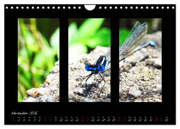 Produktbild: Die Kunst der Natur - Dreifach Stilvoll (Wandkalender 2026 DIN A4 quer), CALVENDO Monatskalender