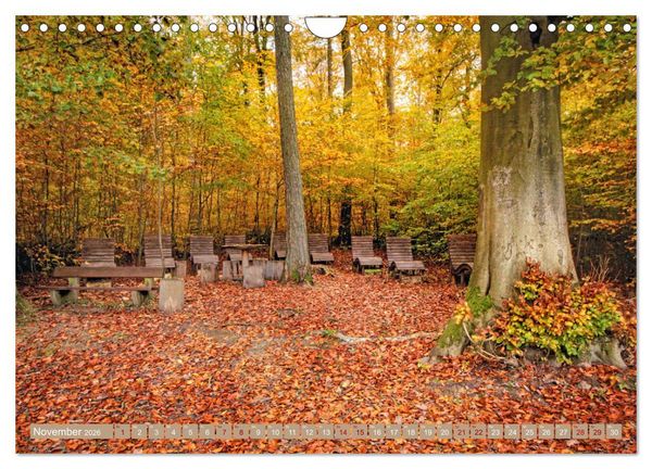 Produktbild: Der Wald - Ort der Ruhe und Besinnung (Wandkalender 2026 DIN A4 quer), CALVENDO Monatskalender