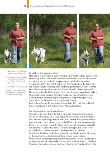 Produktbild: Hundetraining mit Martin R&uuml;tter