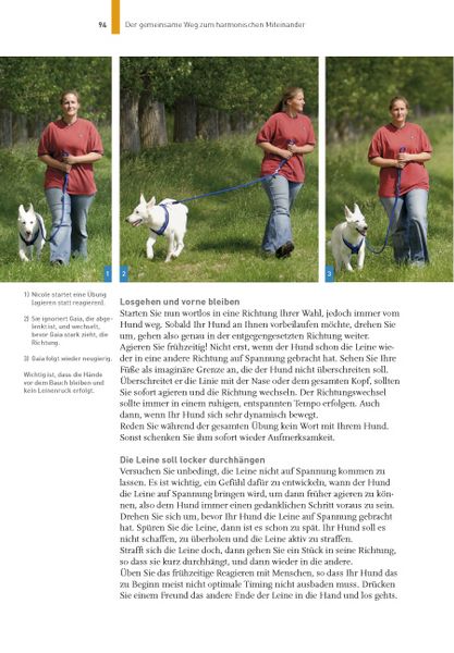 Produktbild: Hundetraining mit Martin R&uuml;tter