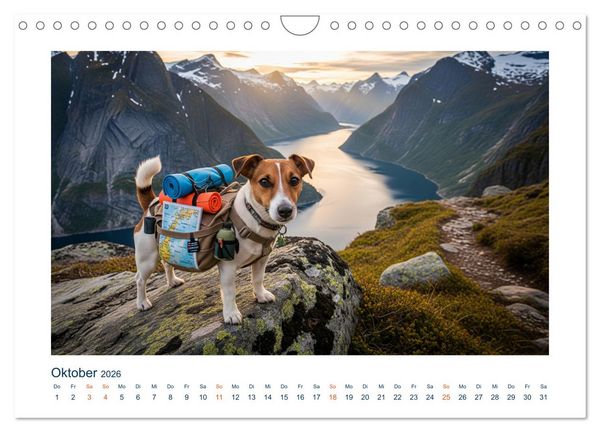 Produktbild: Jack Russel Active (Wandkalender 2026 DIN A4 quer), CALVENDO Monatskalender