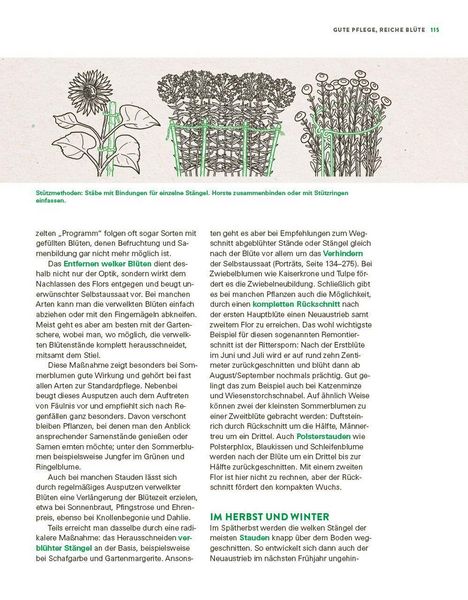 Produktbild: Das gro&szlig;e Buch der Stauden und Sommerblumen
