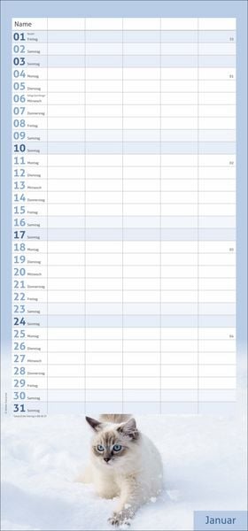 Produktbild: times&more Katzen Familienplaner 2027