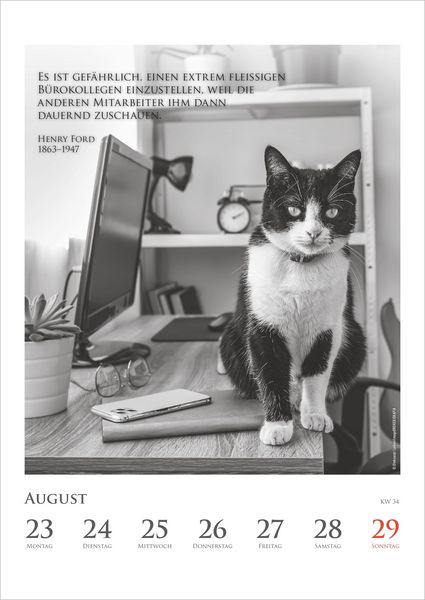 Produktbild: DUMONTS Katzenkalender 2027