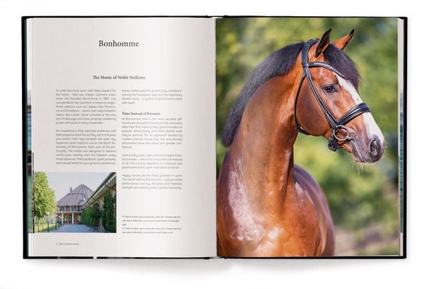 Produktbild: Equestrian