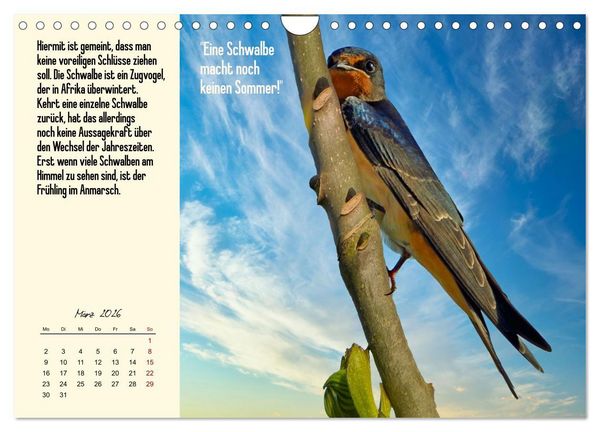 Produktbild: Illustrierte deutsche Redewendungen mit ihrer Bedeutung (Wandkalender 2026 DIN A4 quer), CALVENDO Monatskalender