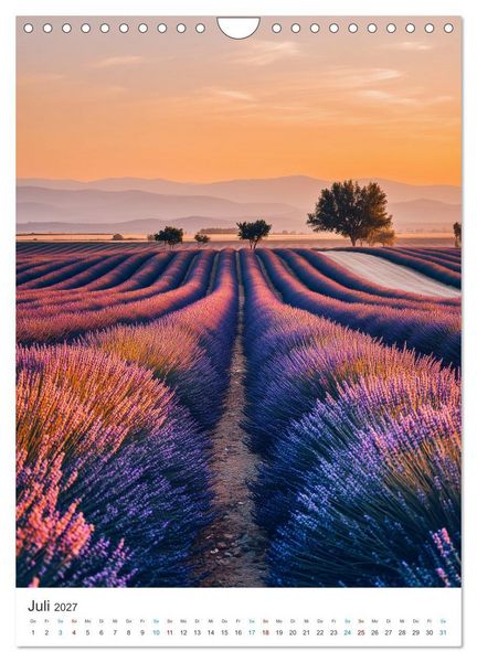 Produktbild: Der Sommer bl&uuml;ht violett (Wandkalender 2027 DIN A4 hoch), CALVENDO Monatskalender