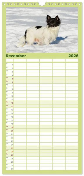 Produktbild: Familienplaner 2026 - Chihuahua - Kleine Hunde ganz gro&szlig; mit 5 Spalten (Wandkalender, 21 x 45 cm) CALVENDO