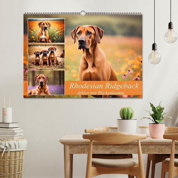 Produktbild: Rhodesian Ridgeback - Athlet mit R&uuml;ckenkamm (Wandkalender 2026 DIN A2 quer), CALVENDO Monatskalender