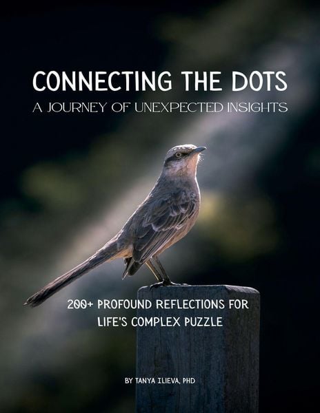 Produktbild: Connecting the Dots