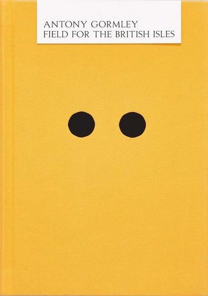 Produktbild: Antony Gormley: Field for the British Isles
