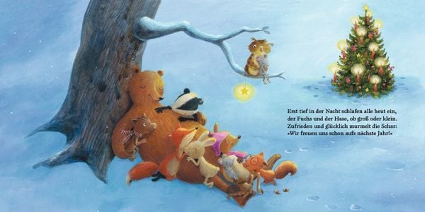 Produktbild: Wenn die Tiere Weihnachten feiern