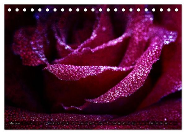 Produktbild: Gothic Rose - Rosen aus dem Garten der Finsternis (Tischkalender 2026 DIN A5 quer), CALVENDO Monatskalender