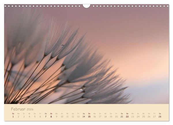 Produktbild: Unscheinbare Sch&ouml;nheit - Pusteblume (Wandkalender 2026 DIN A3 quer), CALVENDO Monatskalender
