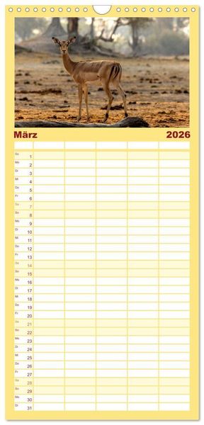 Produktbild: Familienplaner 2026 - Komm mit auf Safari! Botswana und S&uuml;dafrika mit 5 Spalten (Wandkalender, 21 x 45 cm) CALVENDO