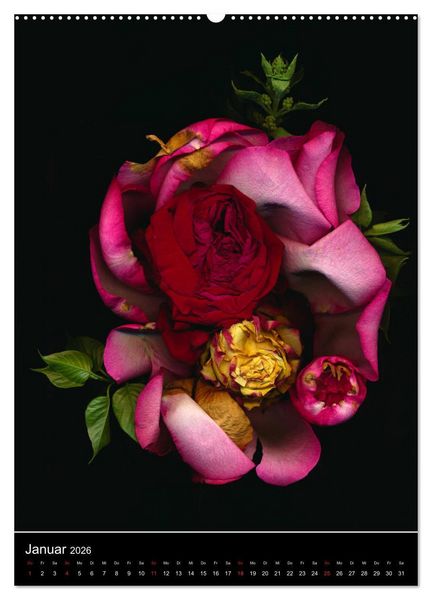 Produktbild: Blumen bei Nacht (hochwertiger Premium Wandkalender 2026 DIN A2 hoch), Kunstdruck in Hochglanz