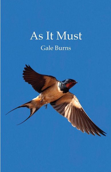 Produktbild: As It Must