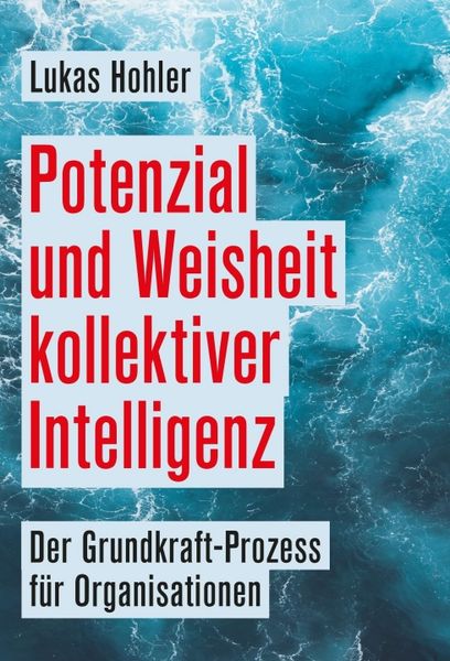 Produktbild: Potenzial und Weisheit kollektiver Intelligenz
