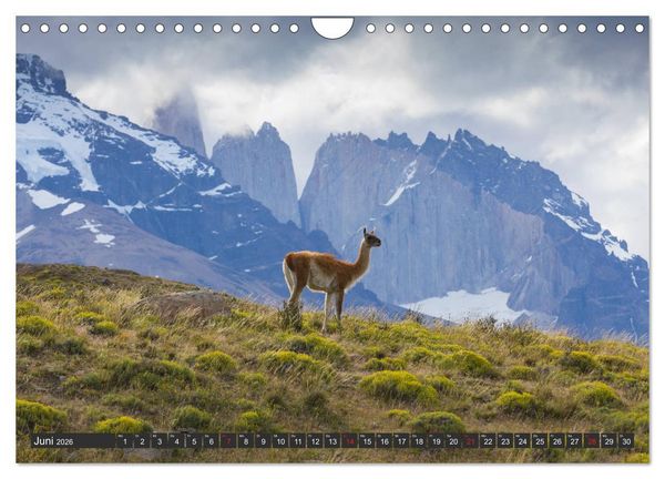 Produktbild: Traumwelt Chile (Wandkalender 2026 DIN A4 quer), CALVENDO Monatskalender