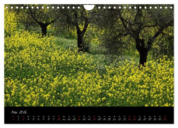 Produktbild: Licht der Toscana (Wandkalender 2026 DIN A4 quer), CALVENDO Monatskalender
