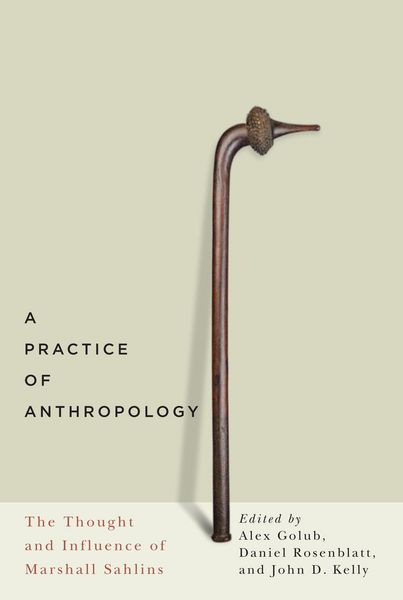 Produktbild: Practice of Anthropology