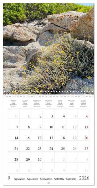 Produktbild: Sardegna - landscapes, sea and food from Sardinia (Wall Calendar 2026 12 &times; 12 Inch) CALVENDO 12 Month Wall Calendar