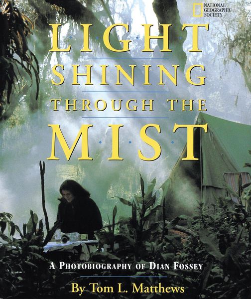 Produktbild: Light Shining Through the Mist